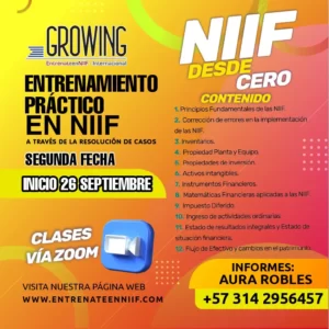 Contenido 2