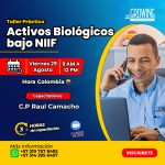 Taller Practico Activos Biológicos Bajo NIIF