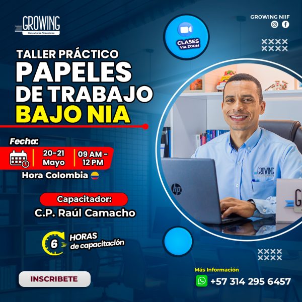 Taller Practico Papeles de Trabajo Bajo NIA