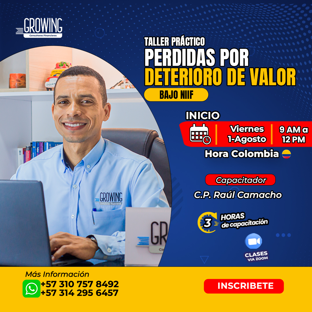 PORTADA PERDIDAS DE VALOR BAJO NIF