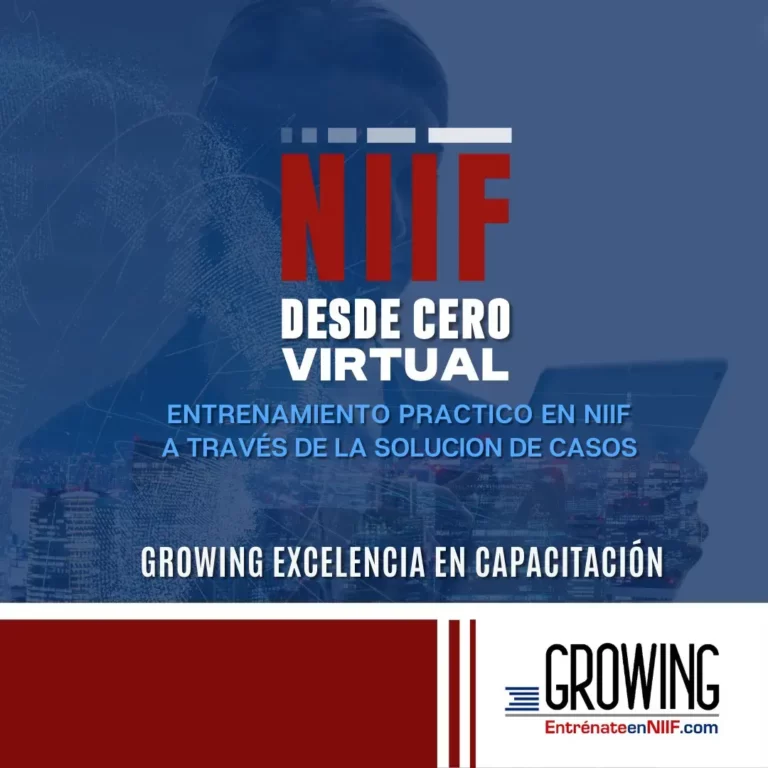NIIF desde Cero