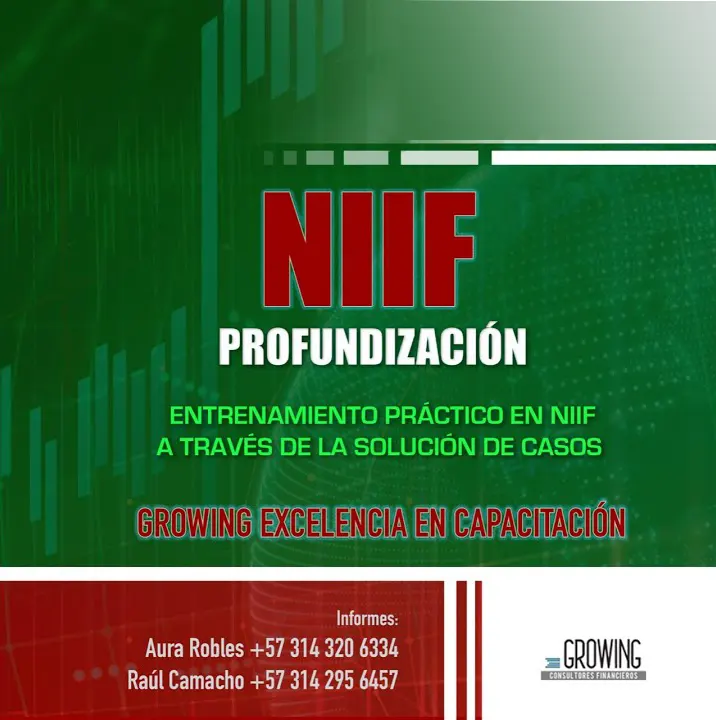 Profundización en NIIF
